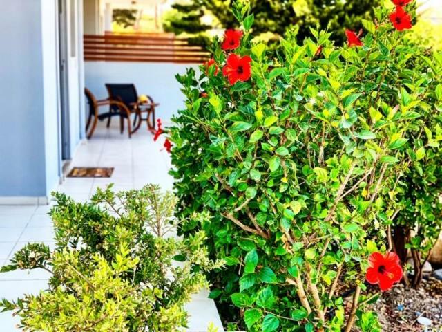 Papagiorgio Luxury And Harmony * Γεννάδι